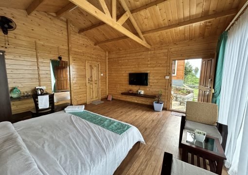 Evergreen Oasis Room