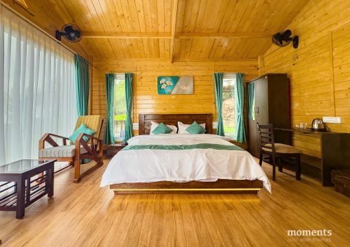 Evergreen Oasis Room